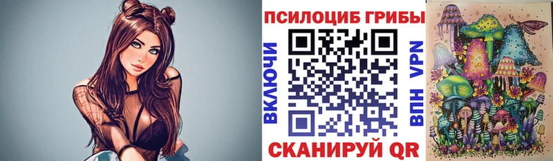 Псилоцибиновые грибы Cubensis  Каменск-Шахтинский 