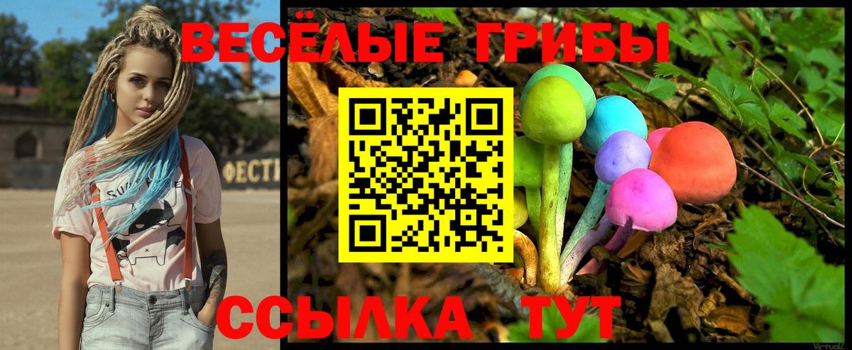 Псилоцибиновые грибы Magic Shrooms  Вход с VPN  Каменск-Шахтинский 